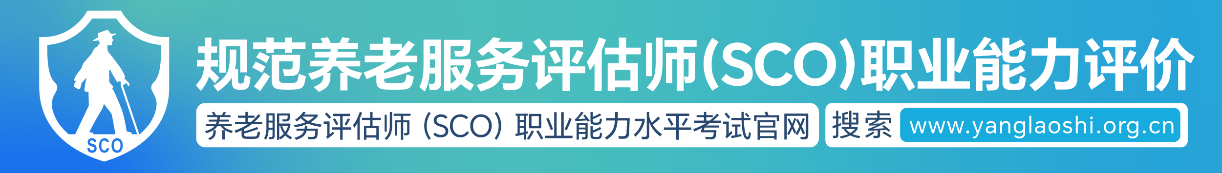 规范养老服务评估师（SCO）职业能力评价